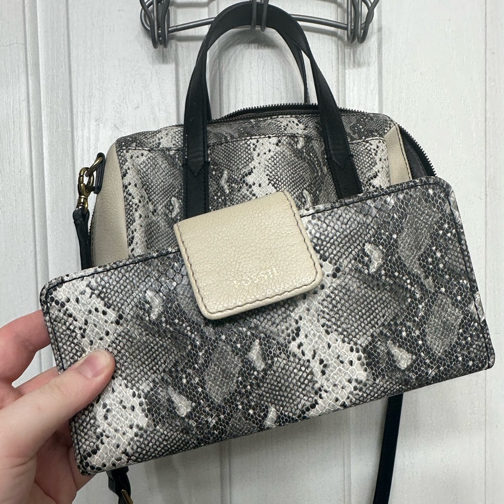 Snake skin print Fossil Purse + Wallet